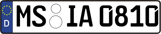 MS-IA0810