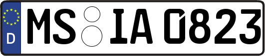 MS-IA0823