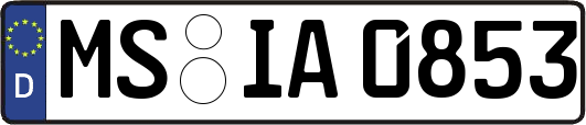 MS-IA0853