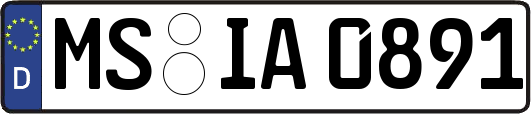 MS-IA0891