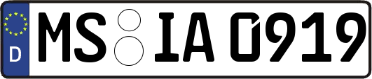 MS-IA0919