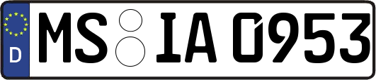 MS-IA0953