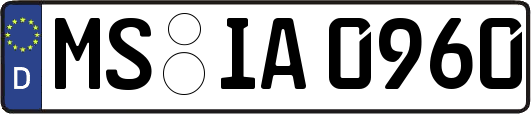 MS-IA0960