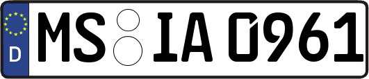 MS-IA0961