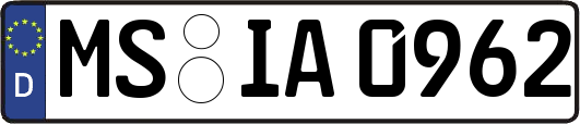MS-IA0962
