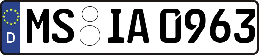 MS-IA0963