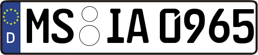 MS-IA0965