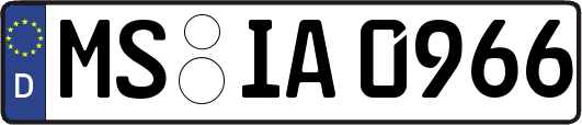 MS-IA0966