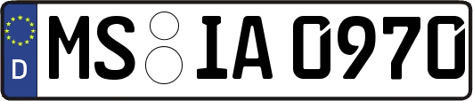 MS-IA0970