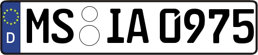 MS-IA0975