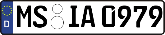 MS-IA0979