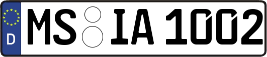 MS-IA1002