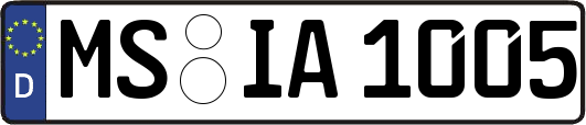 MS-IA1005