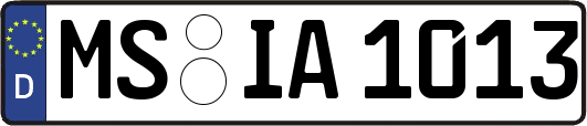 MS-IA1013