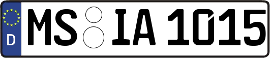 MS-IA1015