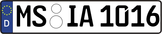 MS-IA1016