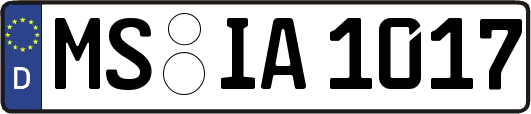 MS-IA1017