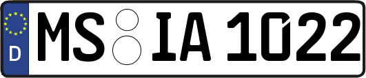 MS-IA1022