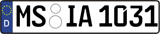 MS-IA1031