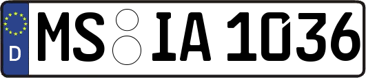 MS-IA1036