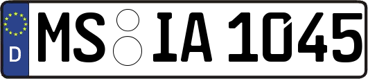 MS-IA1045