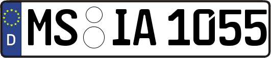 MS-IA1055