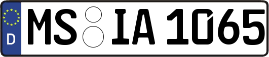MS-IA1065