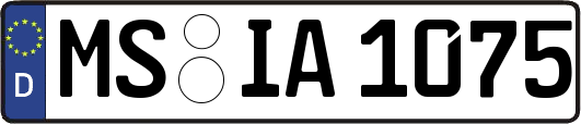 MS-IA1075