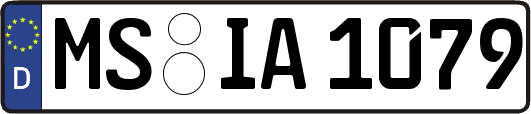 MS-IA1079
