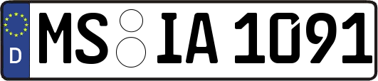 MS-IA1091