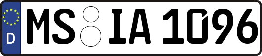 MS-IA1096