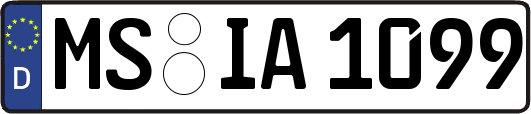 MS-IA1099