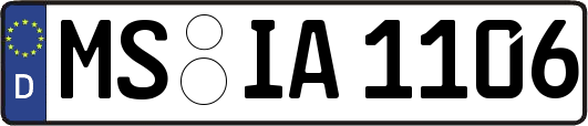 MS-IA1106