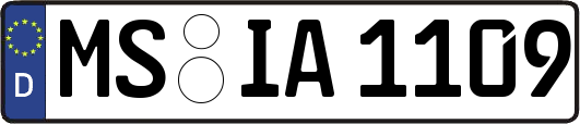 MS-IA1109