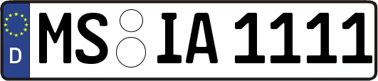 MS-IA1111