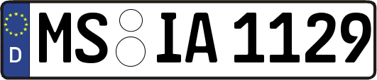 MS-IA1129