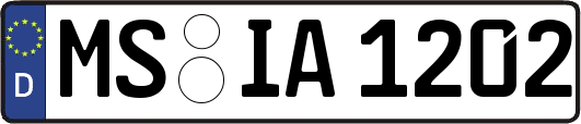 MS-IA1202