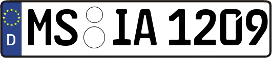 MS-IA1209