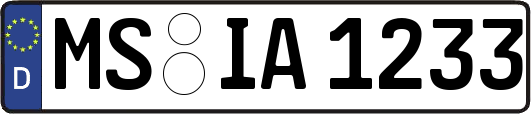 MS-IA1233