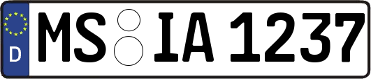 MS-IA1237