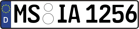 MS-IA1256