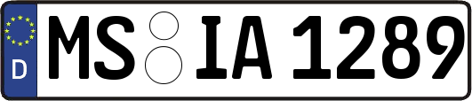 MS-IA1289
