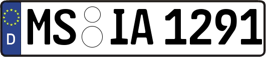 MS-IA1291