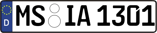 MS-IA1301