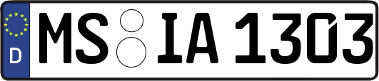 MS-IA1303