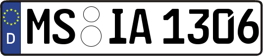 MS-IA1306