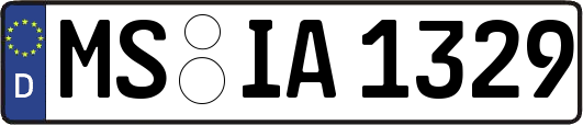 MS-IA1329