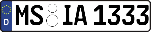 MS-IA1333