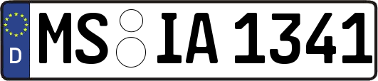 MS-IA1341