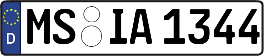 MS-IA1344